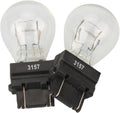 Taillight Bulb